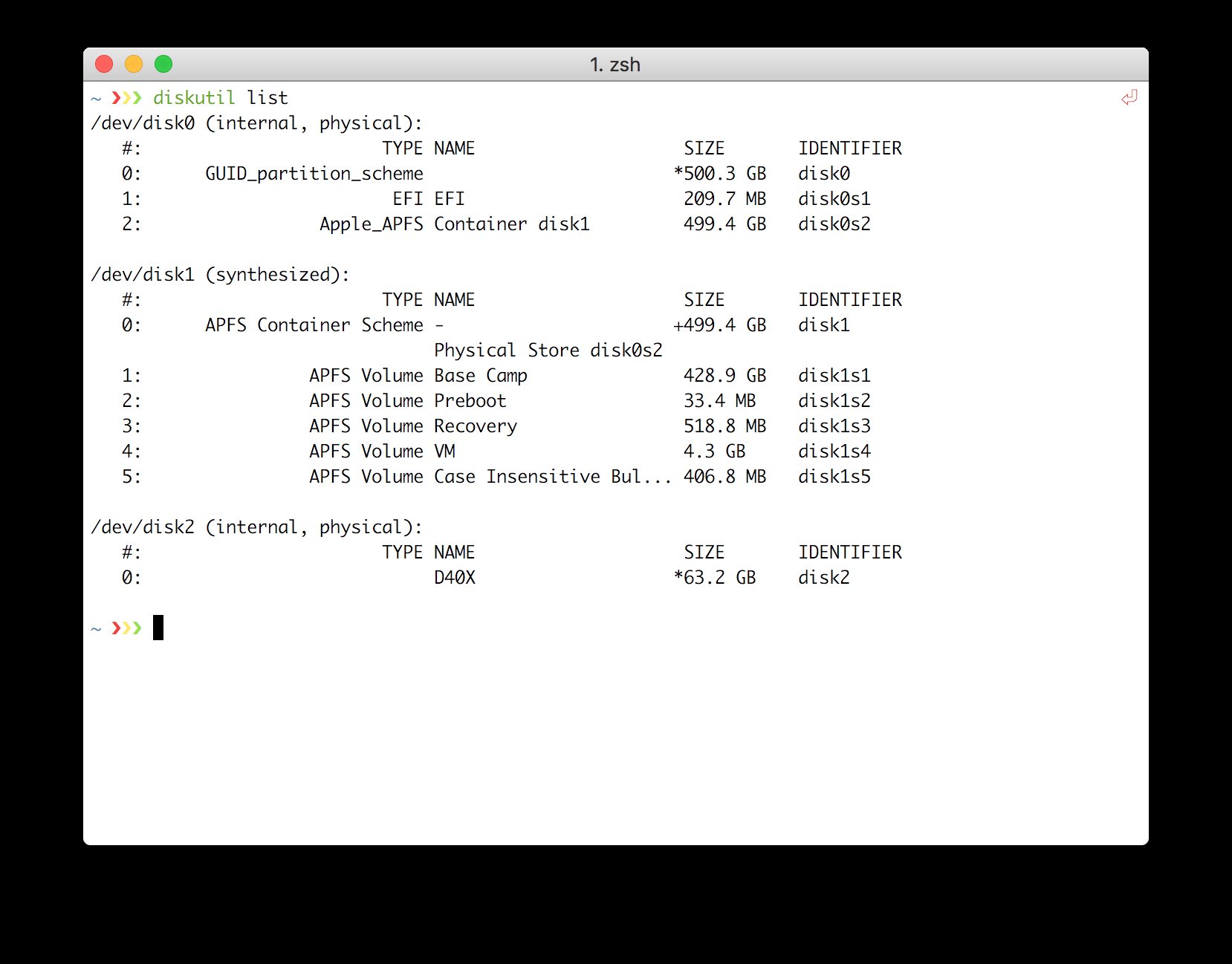 result of command <code>diskutil list</code>